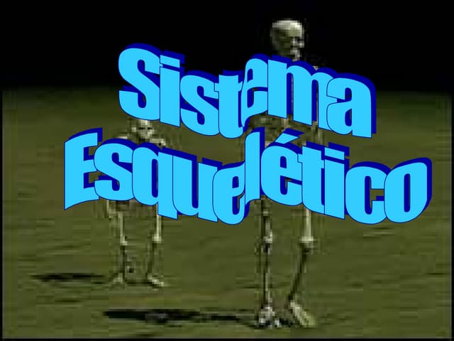Sistema EsqueléTico