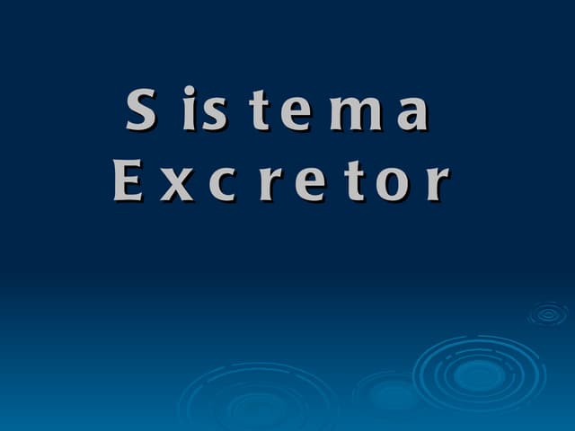 Sistema Excretor