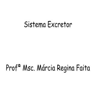 Sistema excretor