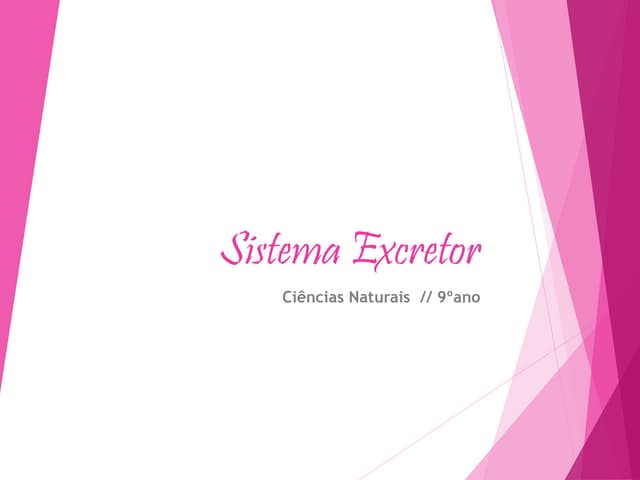 Sistema excretor