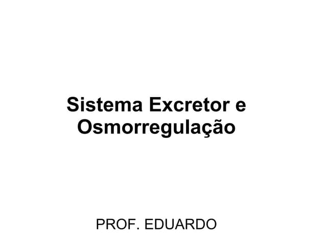 Sistema excretor e osmorregulador