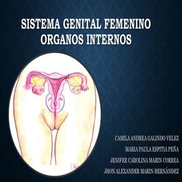 Sistema genital femenino órganos internos