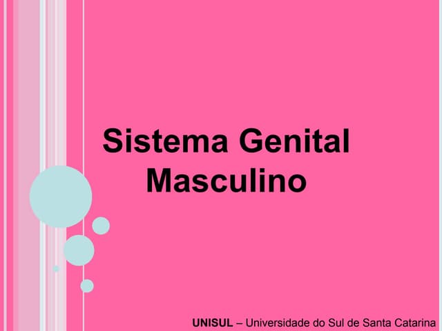 Aparelho Reprodutor Masculino e Fem...