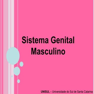 Aparelho Reprodutor Masculino e Fem...