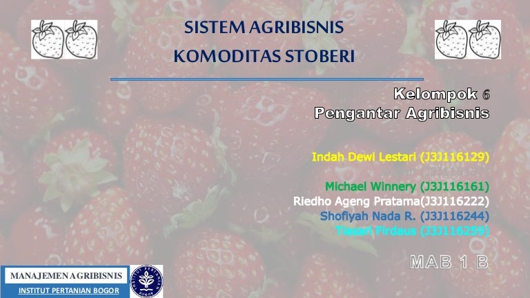 Sistem Agribisnis Komoditas Stroberi