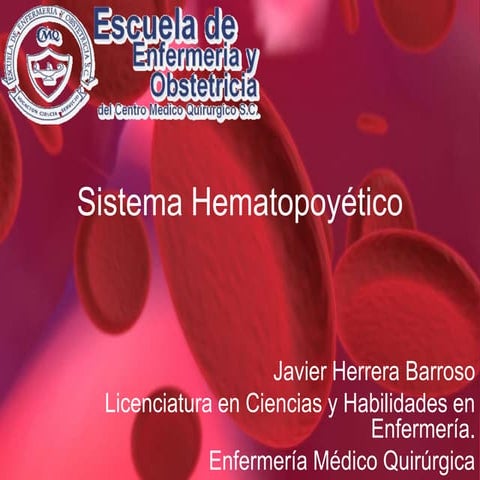 Sistema hematopoyético
