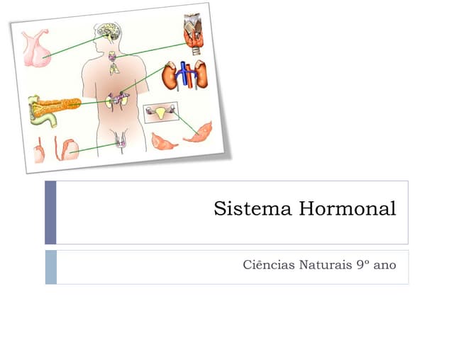Sistema hormonal