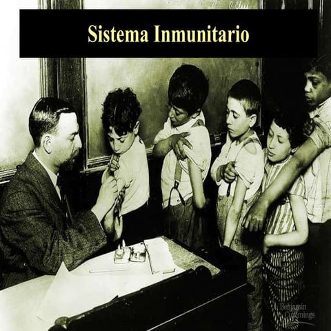 Sistema Inmunitario