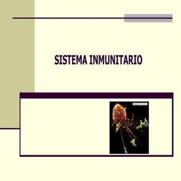 Sostenibilidad y salud: Sistema Inmunitario