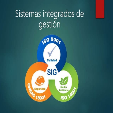 SISTEMA_INTEGRAL_DE_GESTION.ppt