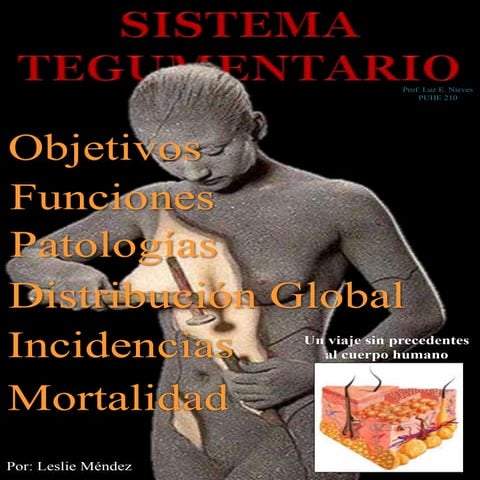 Sistema Integumentario