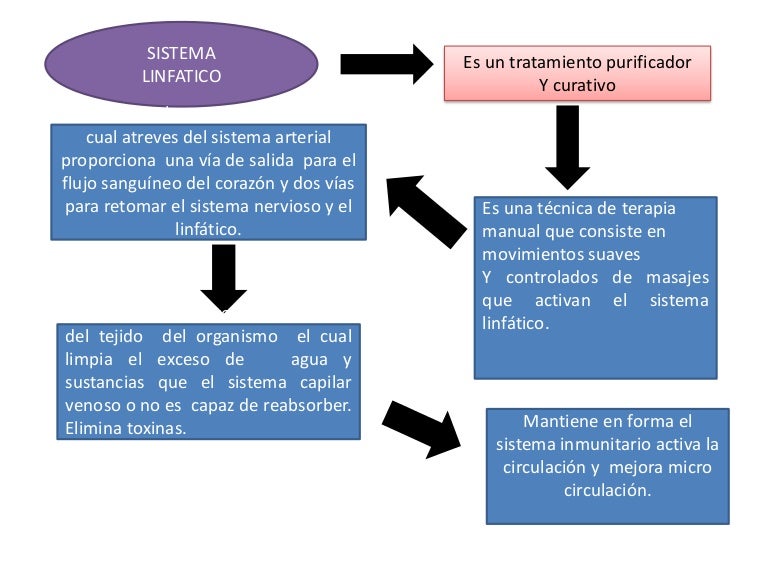 Sistema linfatico