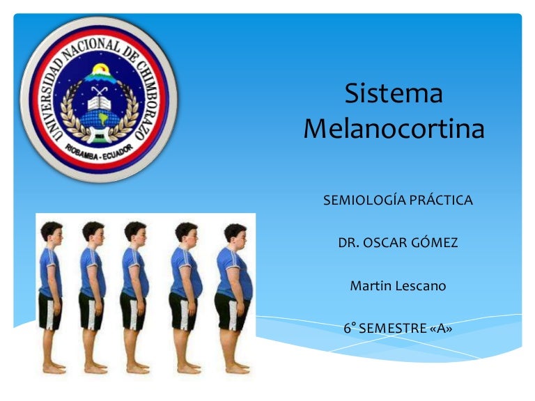 Sistema melanocortina