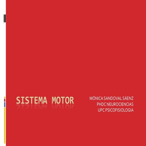 Sistema Motor | PPT image