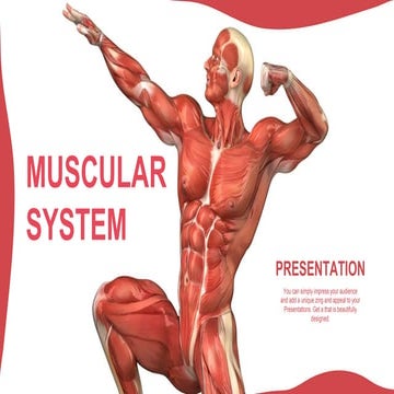 Sistema Muscular Plantilla PowerPoint.pptx