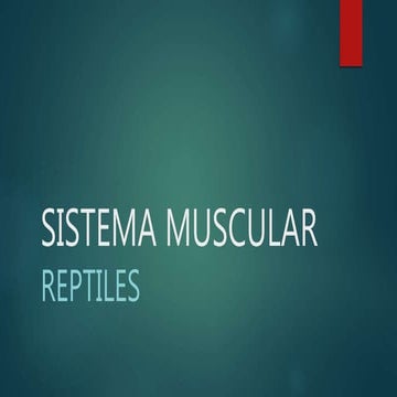 Sistema muscular reptiles