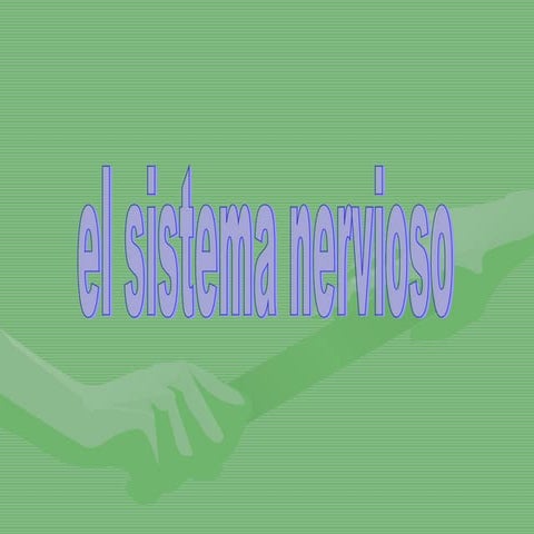 Sistema Nervioso.
