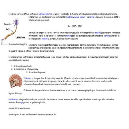 ESQUEMAS DEL SISTEMA NERVIOSO