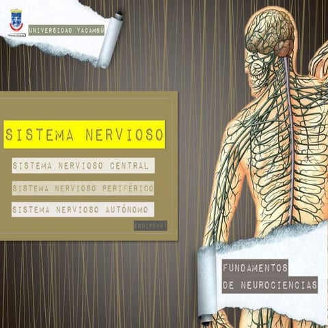 Sistema Nervioso Central