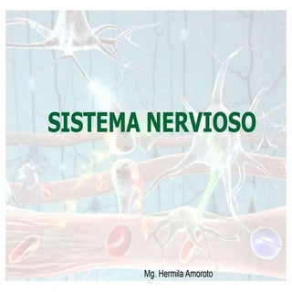 Sistema nervioso y aprendizaje - Fi...