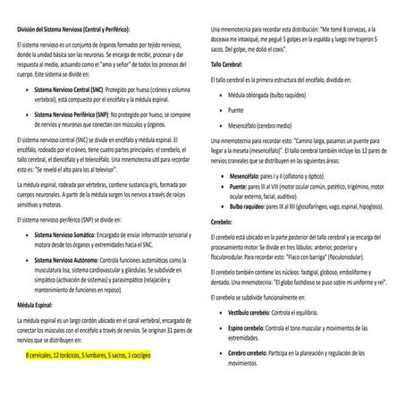 Sistema Nervioso................................