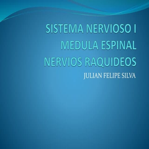 Sistema nervioso central