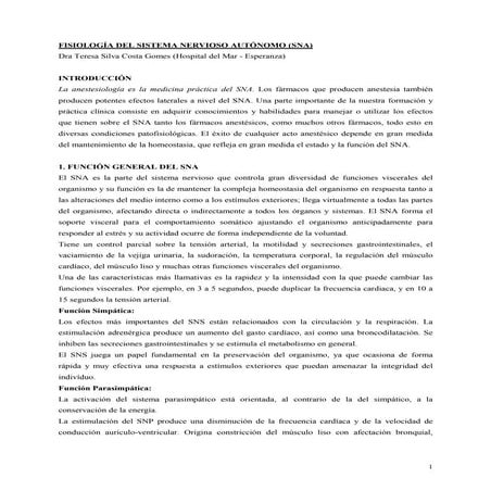 Sistema nervioso autonomo