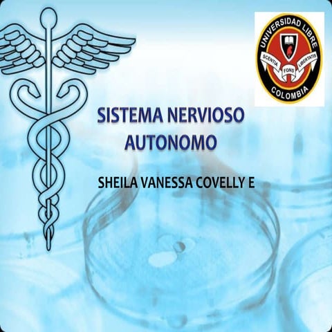 Sistema nervioso autonomo