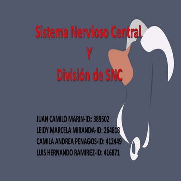 Sistema nervioso central
