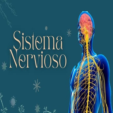 SISTEMA NERVIOSO CENTRAL, ANATOMIA HUMANA