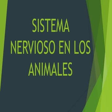 Sistema nervioso en los animales