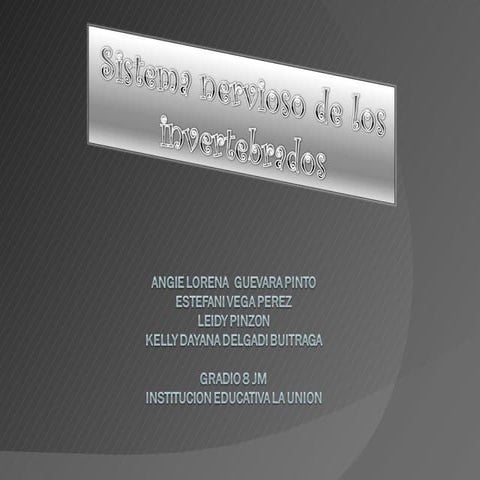 Sistema nervioso invertebrados