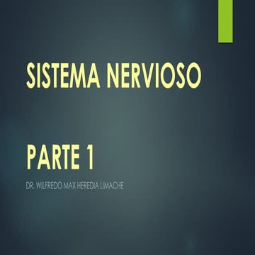 SISTEMA NERVIOSO Parte 1. desarrollo embrionario