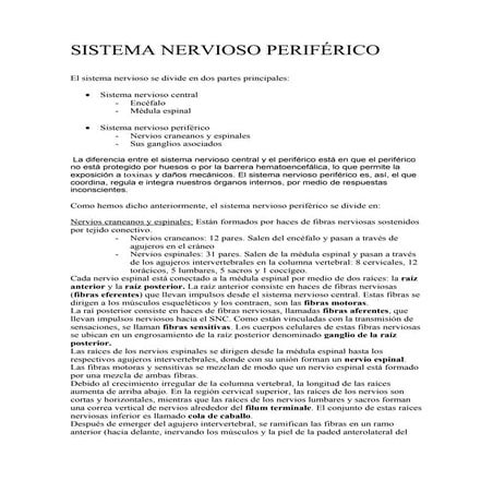 Sistema nervioso periférico