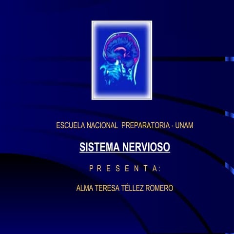 Sistema nervioso 