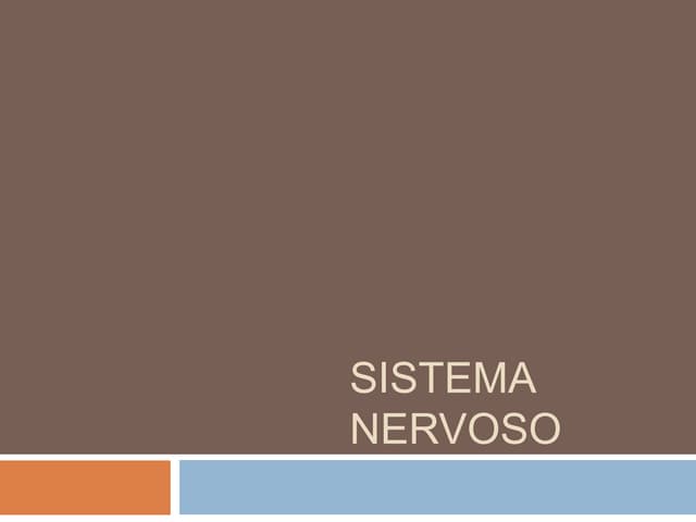Sistema Nervoso