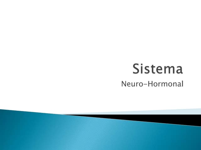 Sistema nervoso