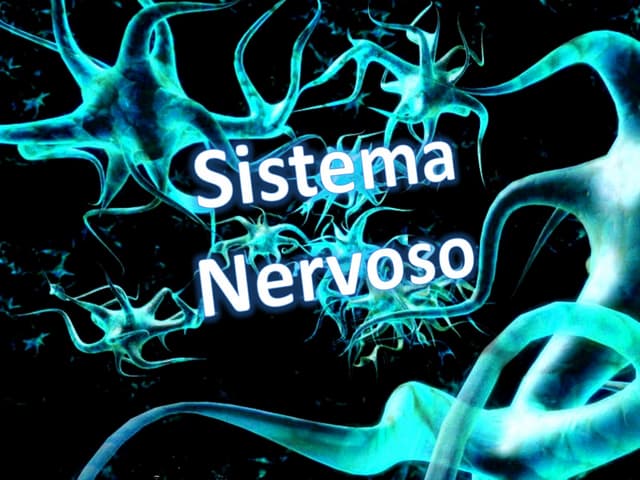 Sistema nervoso