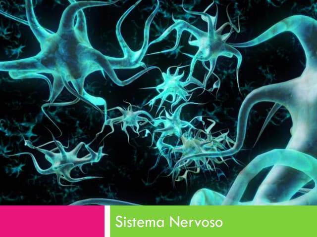 Sistema nervoso