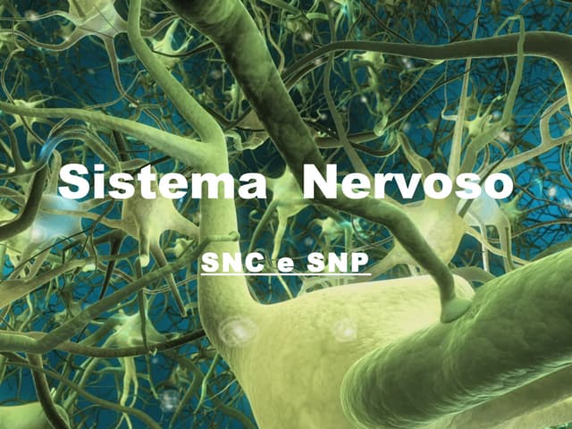 Sistema nervoso