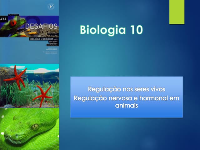 Sistema nervoso