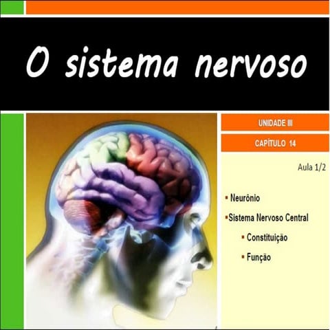 Sistema nervoso