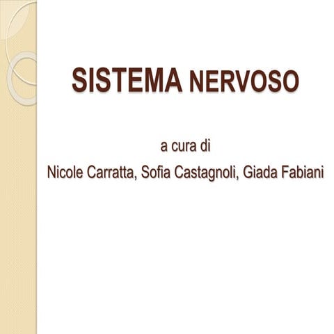 Sistema nervoso
