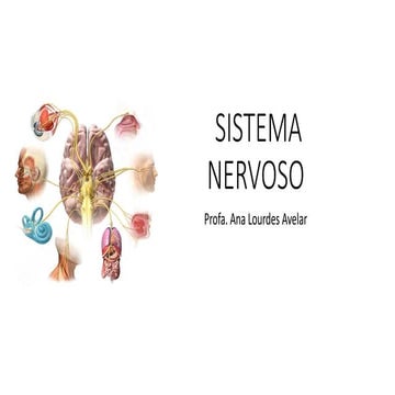SISTEMA NERVOSO: TUDO SOBRE SISTEMA NERVOSO
