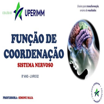 SISTEMA NERVOSO_6ANO_23.pdf