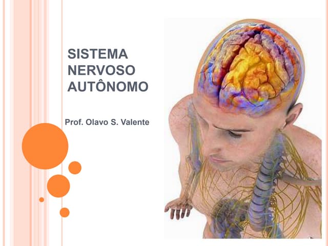 Sistema Nervoso Autônomo