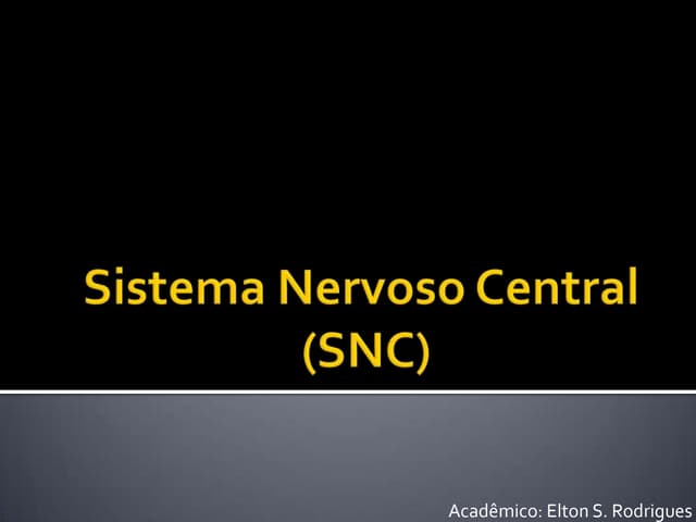 Sistema nervoso central