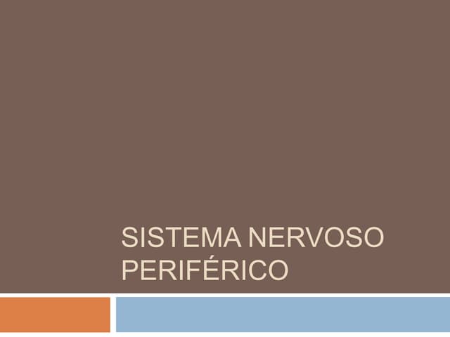 Sistema nervoso periférico
