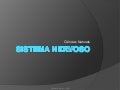Sistema nervoso prof Ivanise Meyer