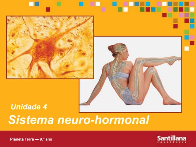 Sistema Neuro-Hormonal....